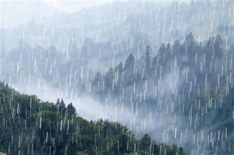 下大雨的照片